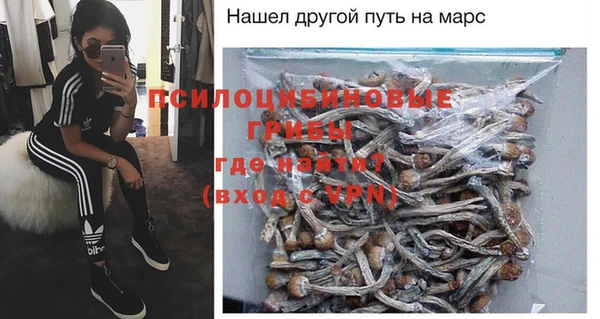 ГАЛЛЮЦИНОГЕННЫЕ ГРИБЫ Аркадак