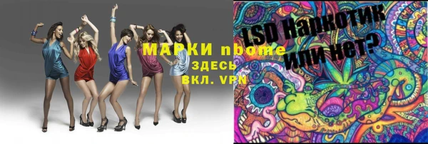ГАЛЛЮЦИНОГЕННЫЕ ГРИБЫ Аркадак